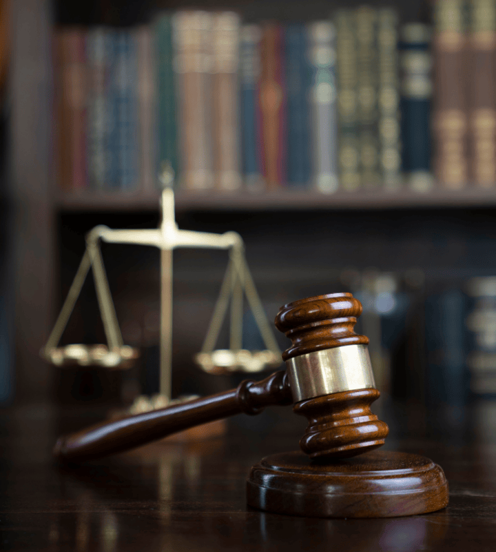 Home Untitled design 30