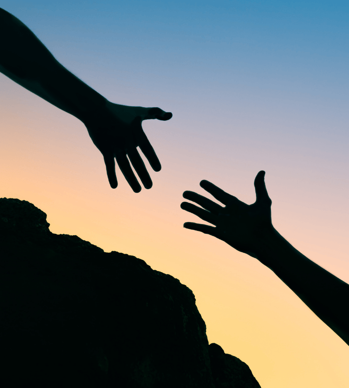 Home Untitled design 31